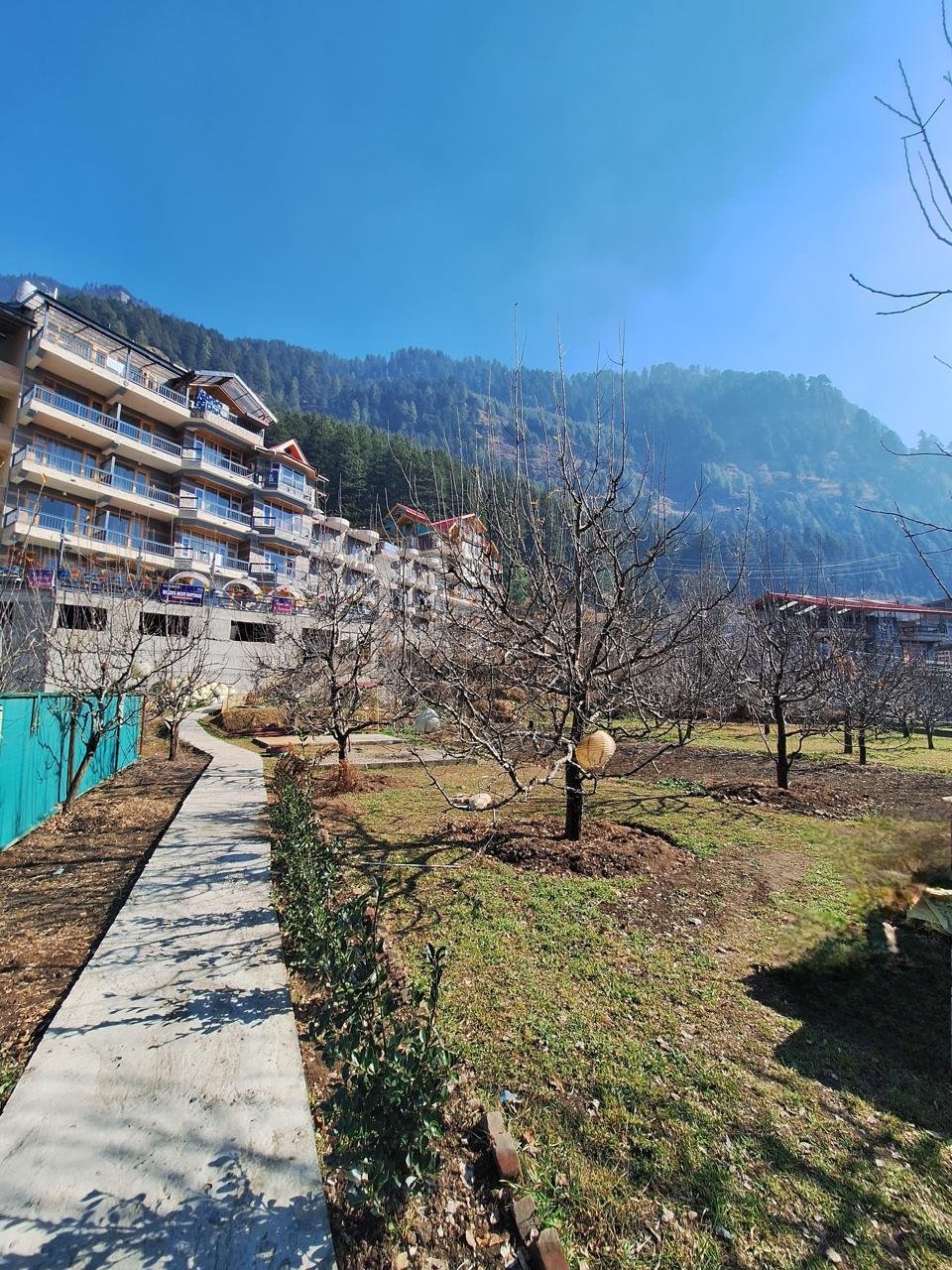 Orchard walking path near BTH Hotels & Resorts, Manali